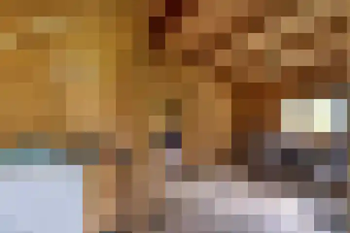 Grindweg 1 Ellewoutsdijk thumbnail 40