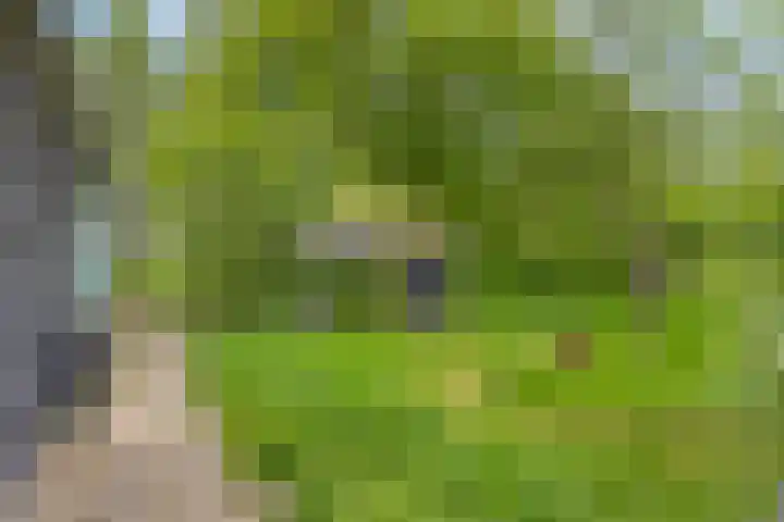 Grindweg 1 Ellewoutsdijk thumbnail 41