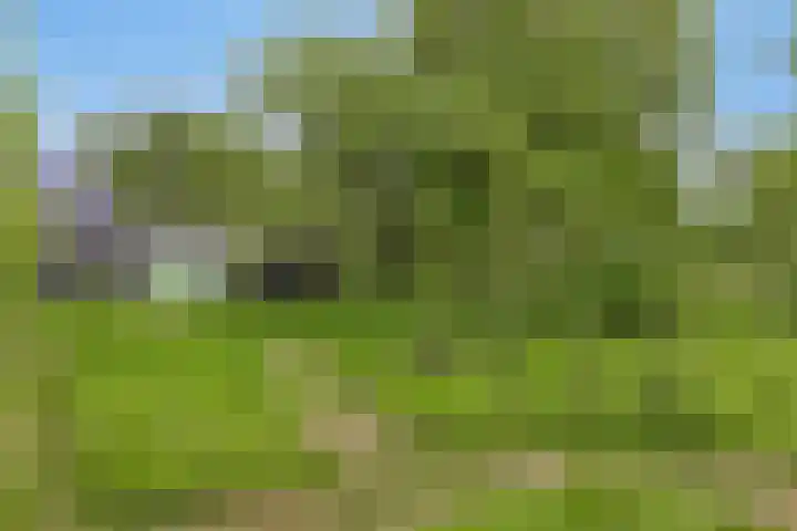 Grindweg 1 Ellewoutsdijk thumbnail 42