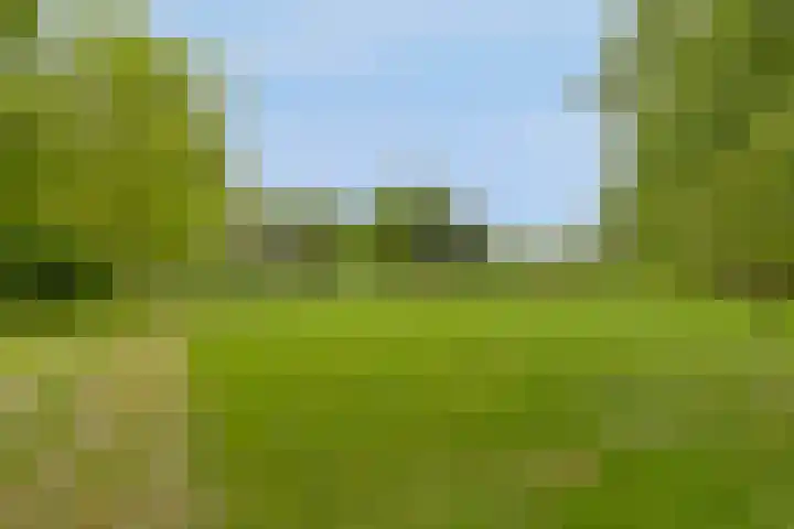 Grindweg 1 Ellewoutsdijk thumbnail 44