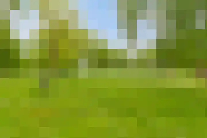 Grindweg 1 Ellewoutsdijk thumbnail 45