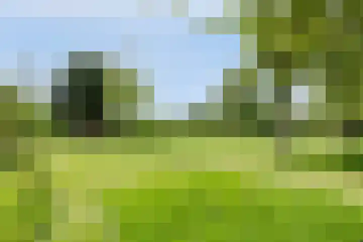 Grindweg 1 Ellewoutsdijk thumbnail 46