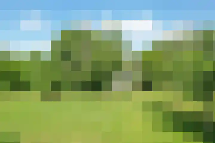 Grindweg 1 Ellewoutsdijk thumbnail 47