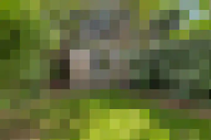 Grindweg 1 Ellewoutsdijk thumbnail 48