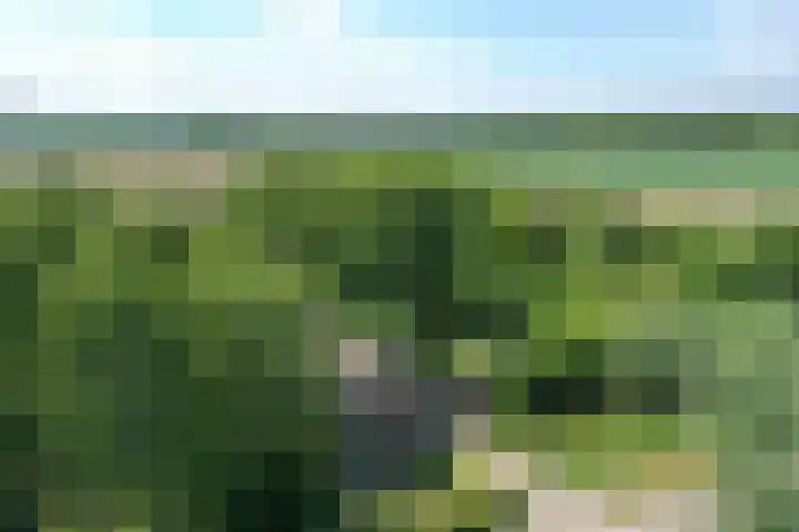 Grindweg 1 Ellewoutsdijk thumbnail 49