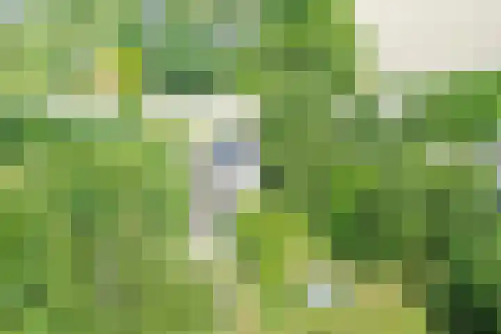 Grindweg 1 Ellewoutsdijk thumbnail 51