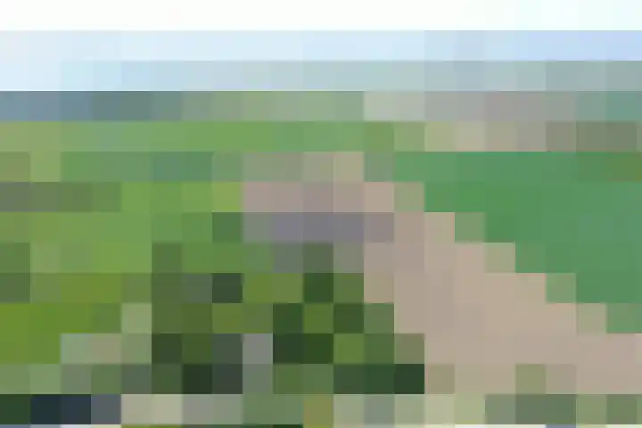 Grindweg 1 Ellewoutsdijk thumbnail 54