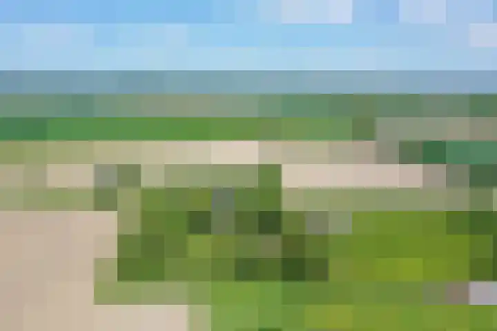 Grindweg 1 Ellewoutsdijk thumbnail 55