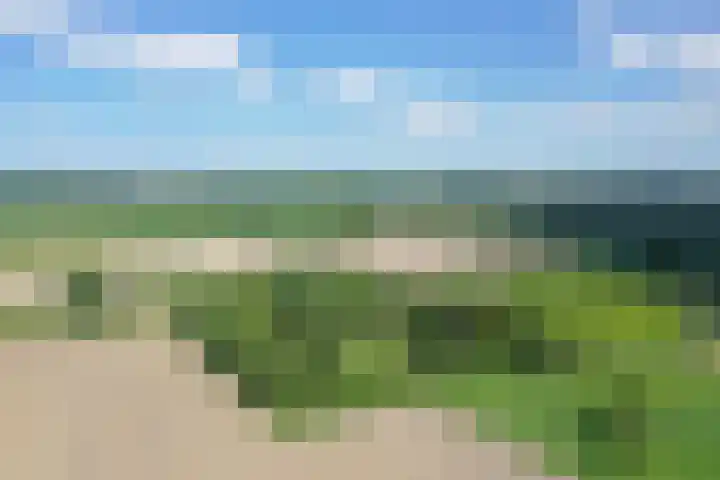 Grindweg 1 Ellewoutsdijk thumbnail 56