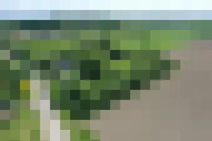Grindweg 1 Ellewoutsdijk thumbnail 57