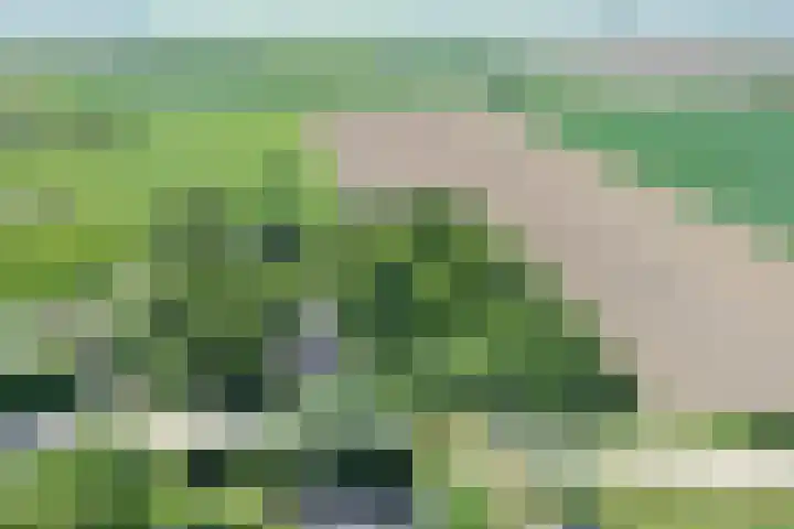 Grindweg 1 Ellewoutsdijk thumbnail 58