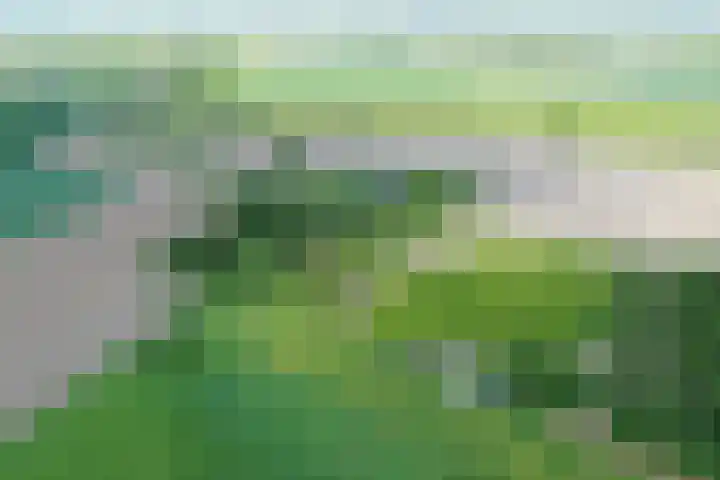 Grindweg 1 Ellewoutsdijk thumbnail 59