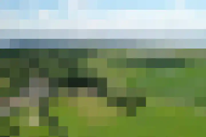 Grindweg 1 Ellewoutsdijk thumbnail 60