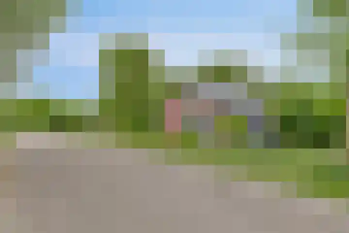 Grindweg 1 Ellewoutsdijk thumbnail 61
