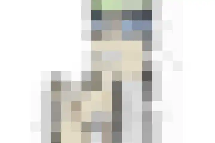 Grindweg 1 Ellewoutsdijk thumbnail 63