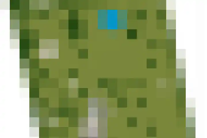 Grindweg 1 Ellewoutsdijk thumbnail 66