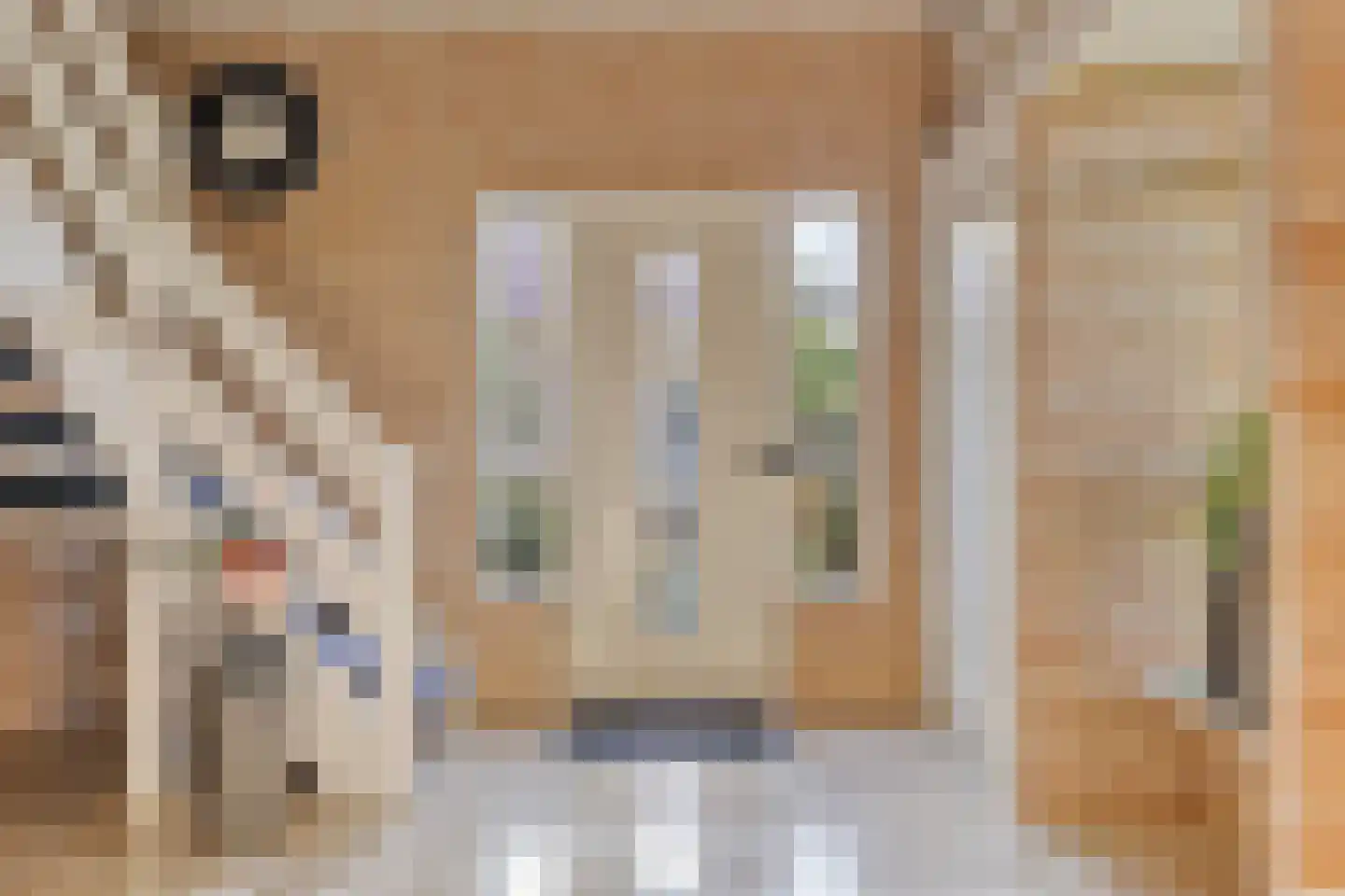 Grindweg 1 Nijeberkoop thumbnail 14