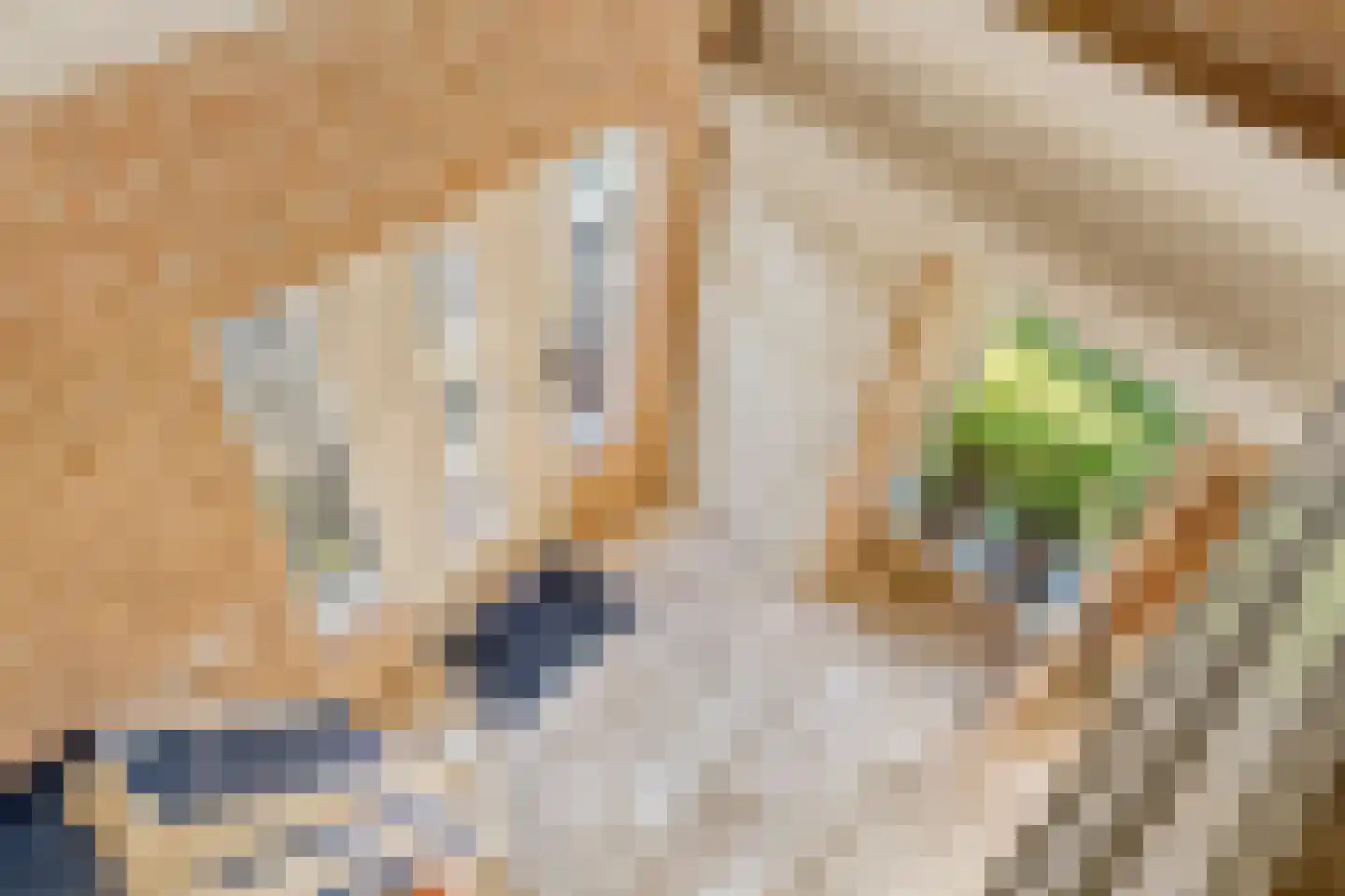 Grindweg 1 Nijeberkoop thumbnail 16