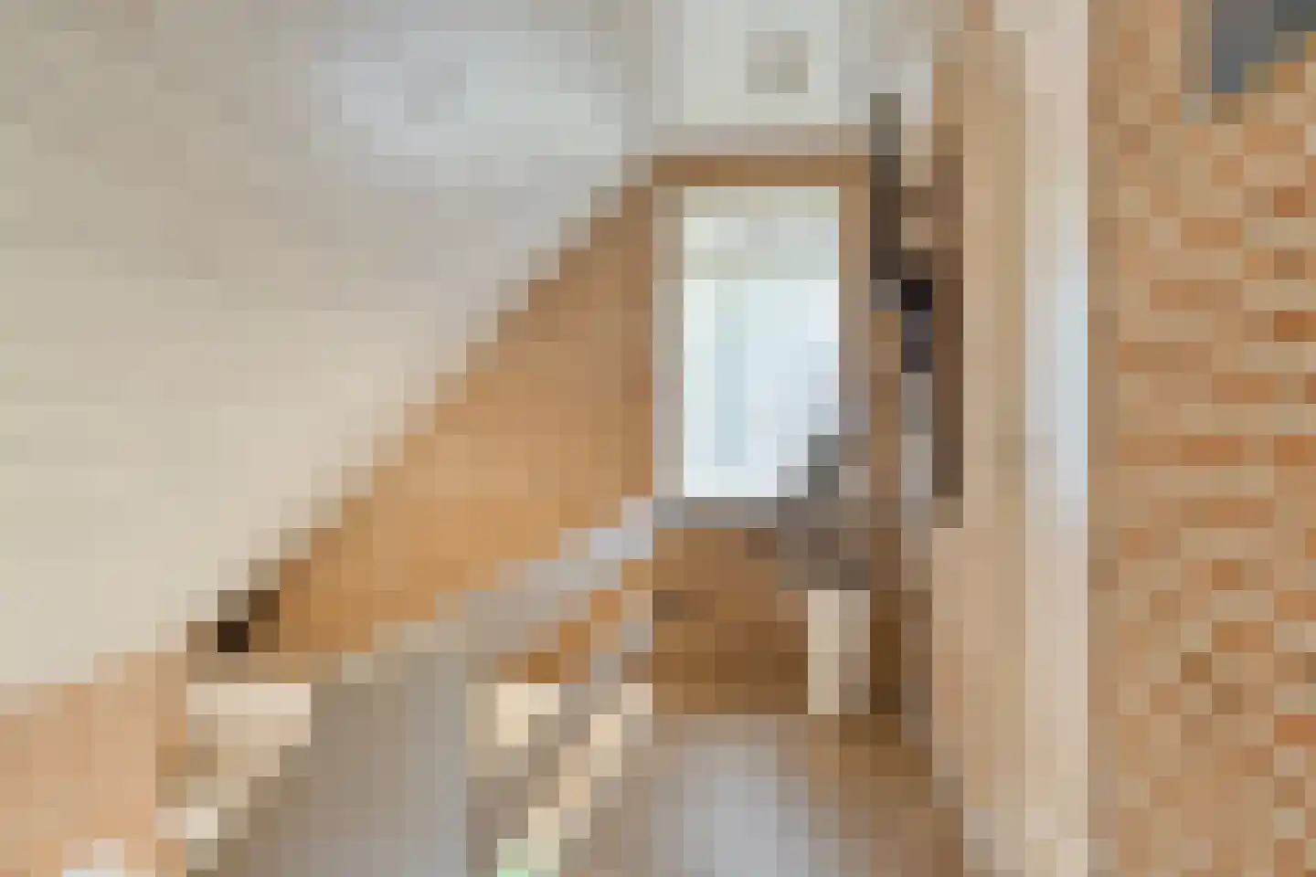 Grindweg 1 Nijeberkoop thumbnail 17