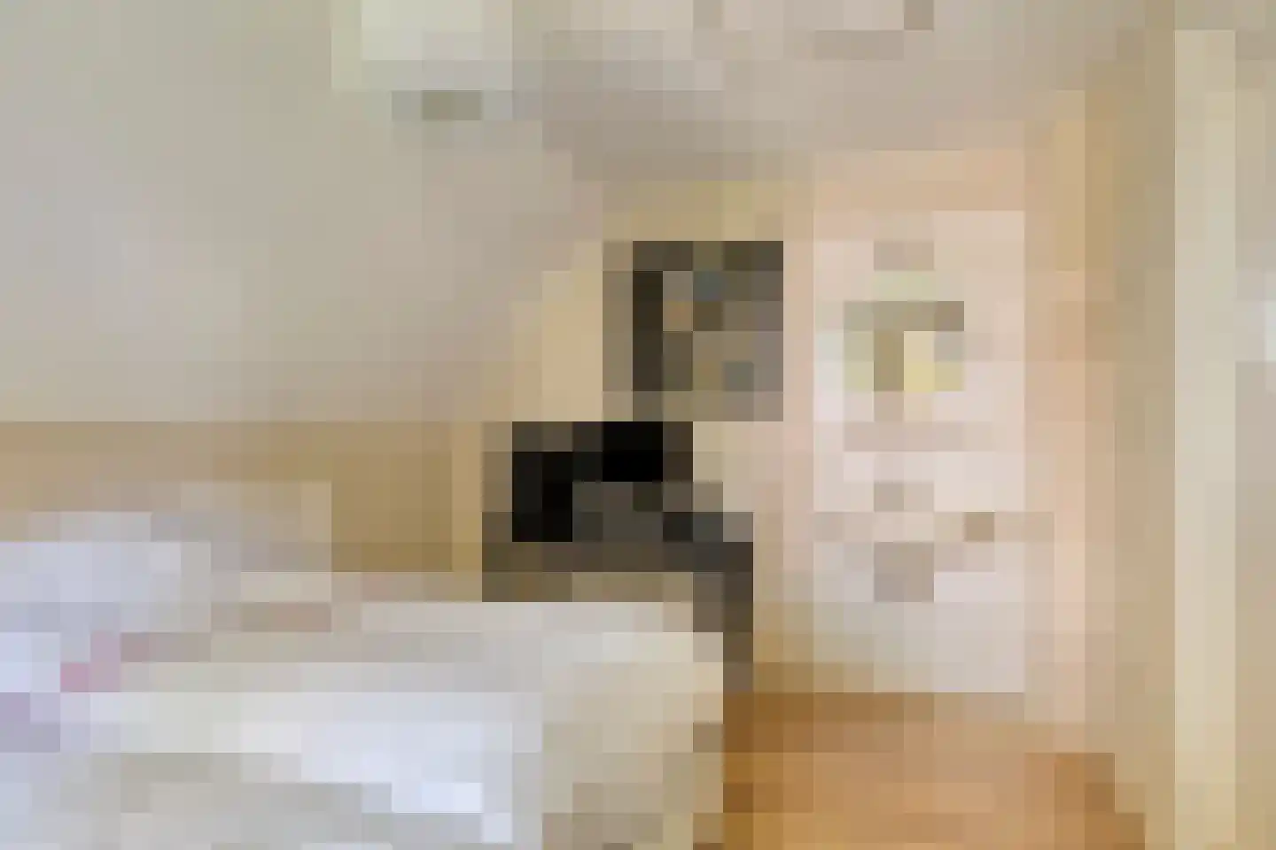 Grindweg 1 Nijeberkoop thumbnail 21