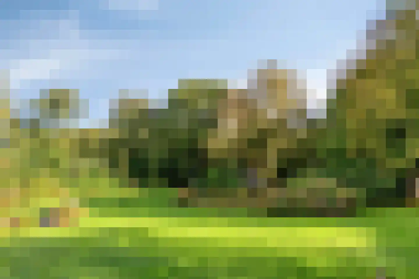 Grindweg 1 Nijeberkoop thumbnail 25