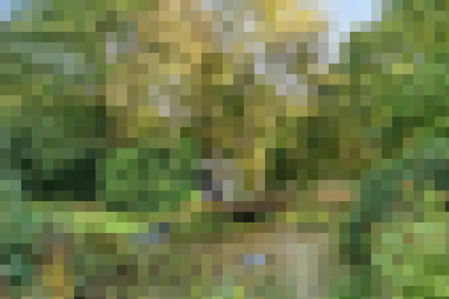 Grindweg 1 Nijeberkoop thumbnail 27