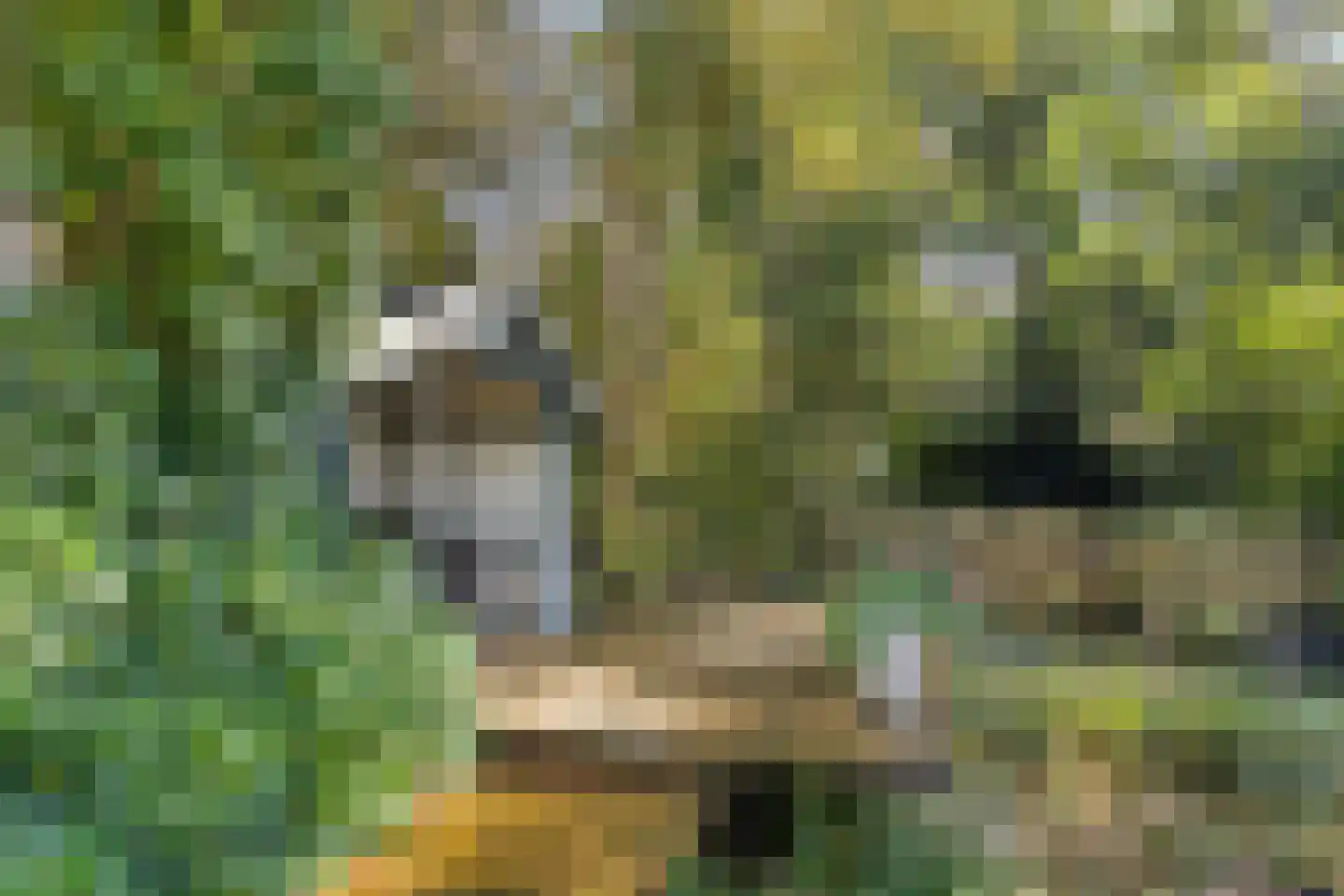 Grindweg 1 Nijeberkoop thumbnail 28