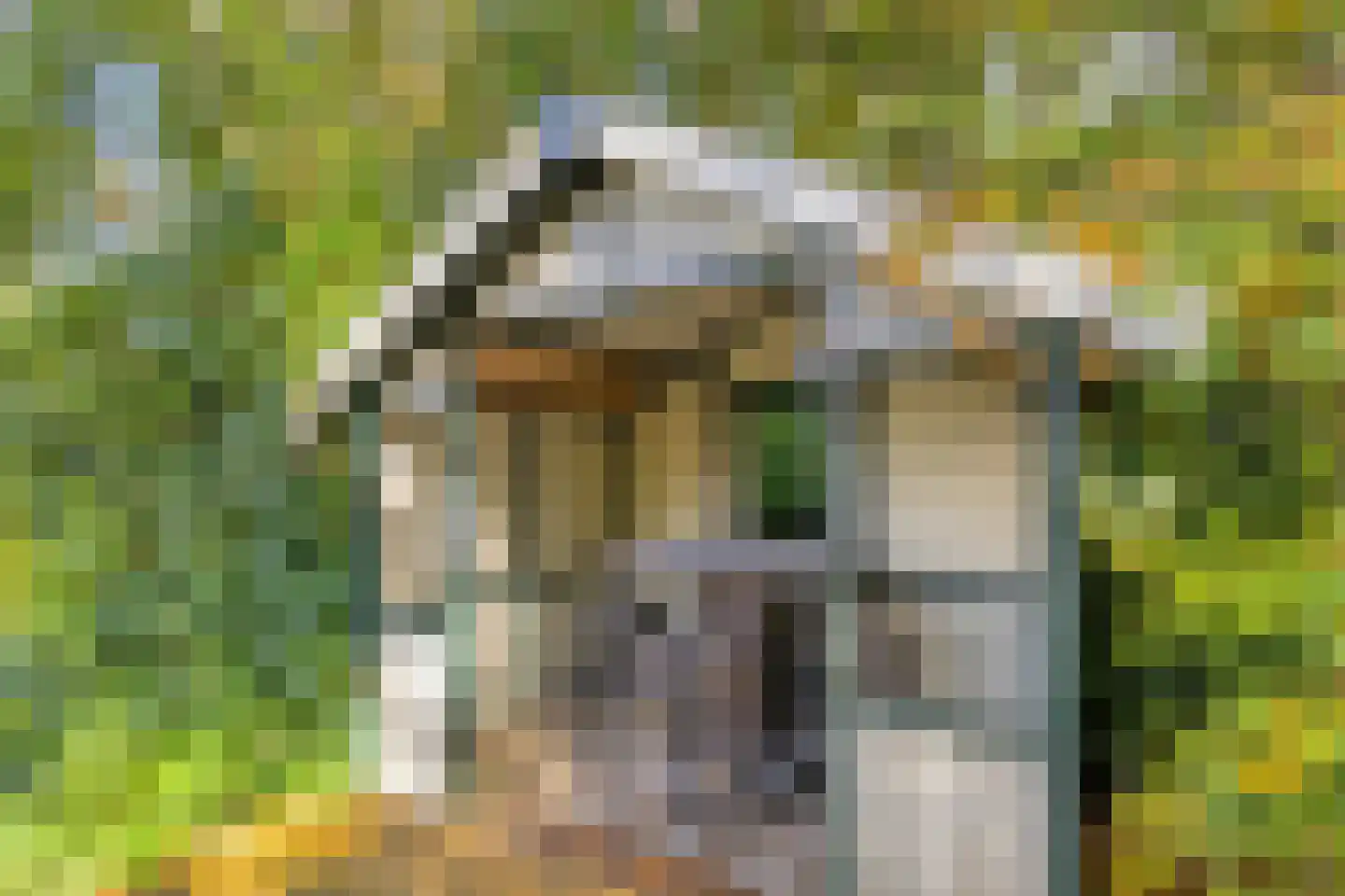 Grindweg 1 Nijeberkoop thumbnail 29