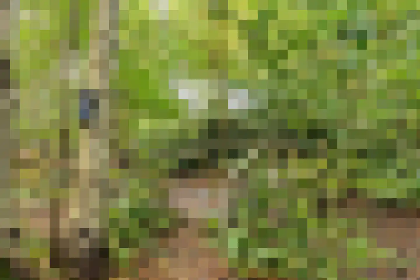 Grindweg 1 Nijeberkoop thumbnail 30