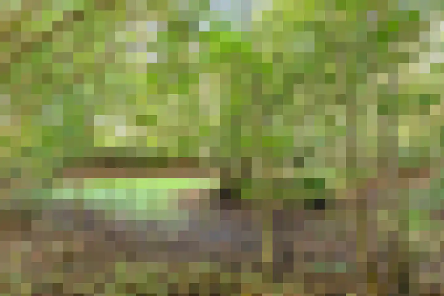 Grindweg 1 Nijeberkoop thumbnail 31