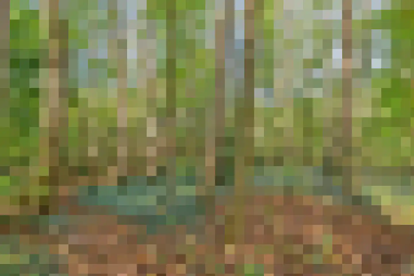 Grindweg 1 Nijeberkoop thumbnail 32