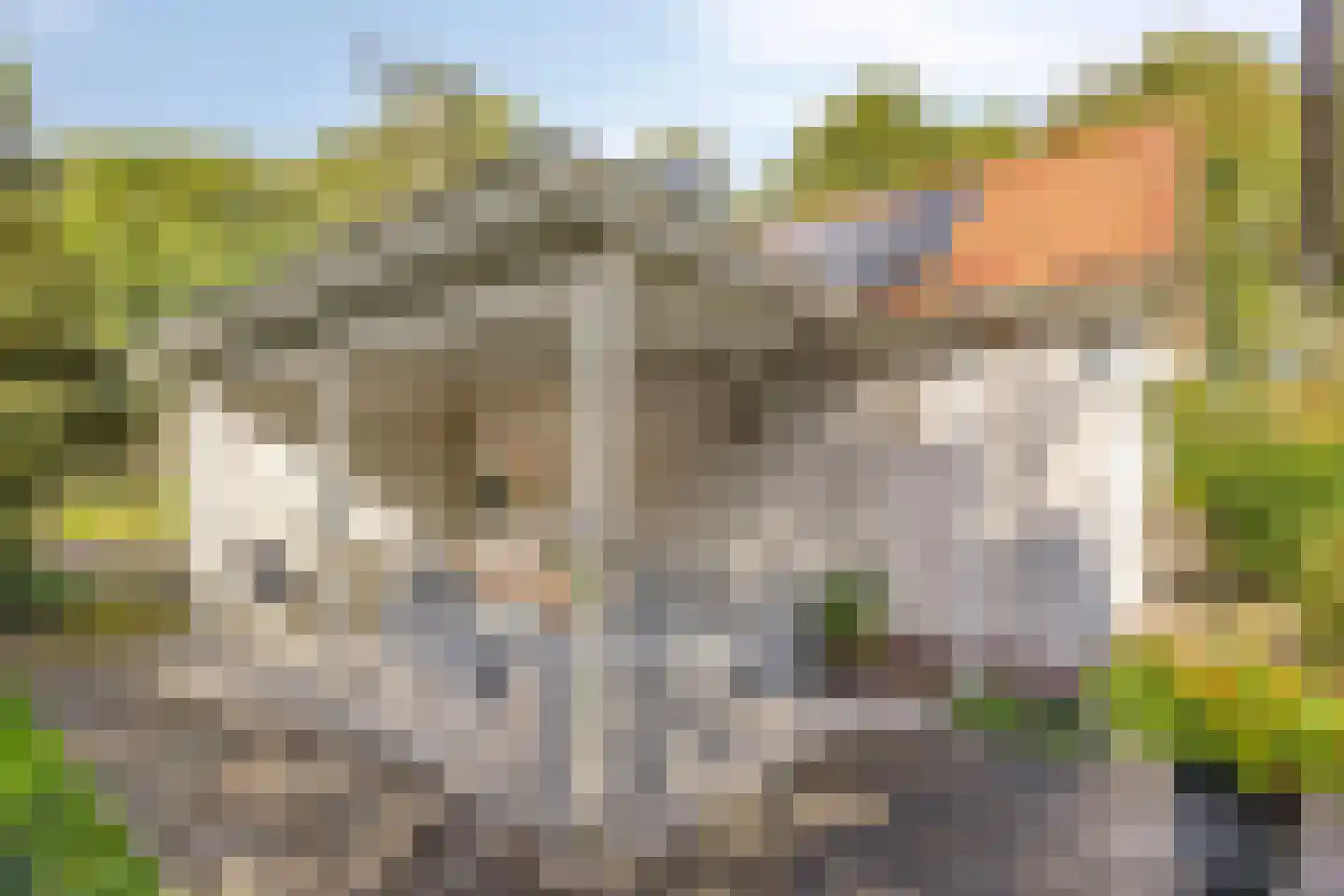 Grindweg 1 Nijeberkoop thumbnail 34