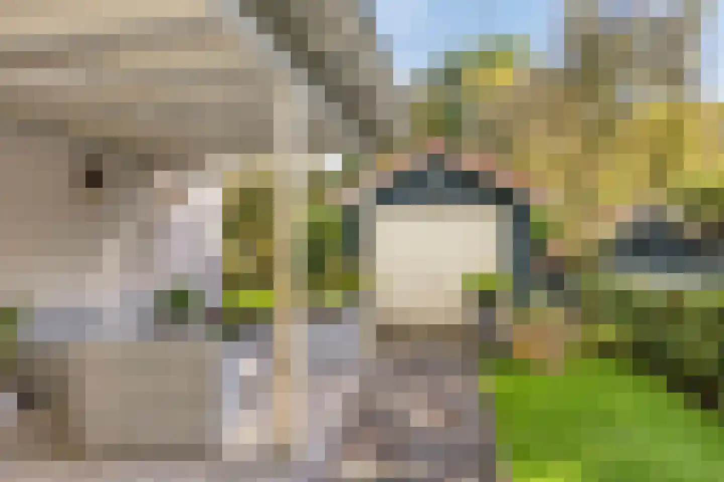 Grindweg 1 Nijeberkoop thumbnail 35