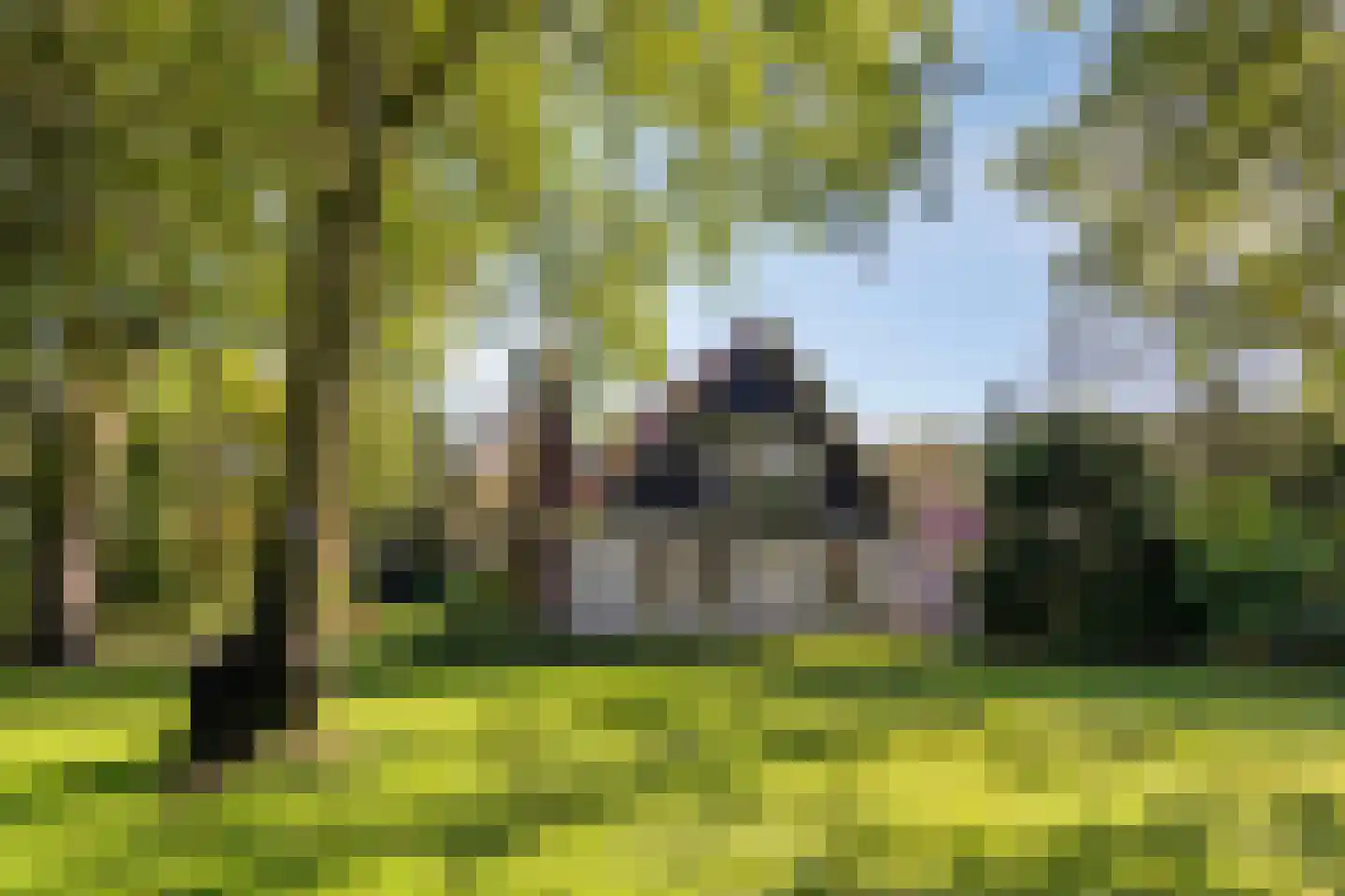 Grindweg 1 Nijeberkoop thumbnail 39