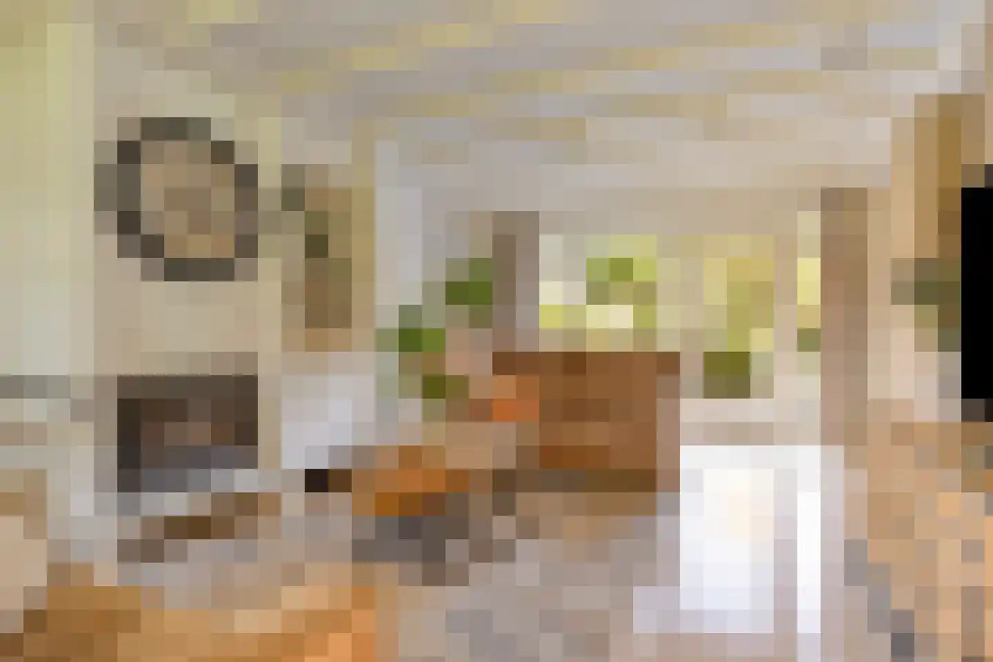 Grindweg 1 Nijeberkoop thumbnail 4