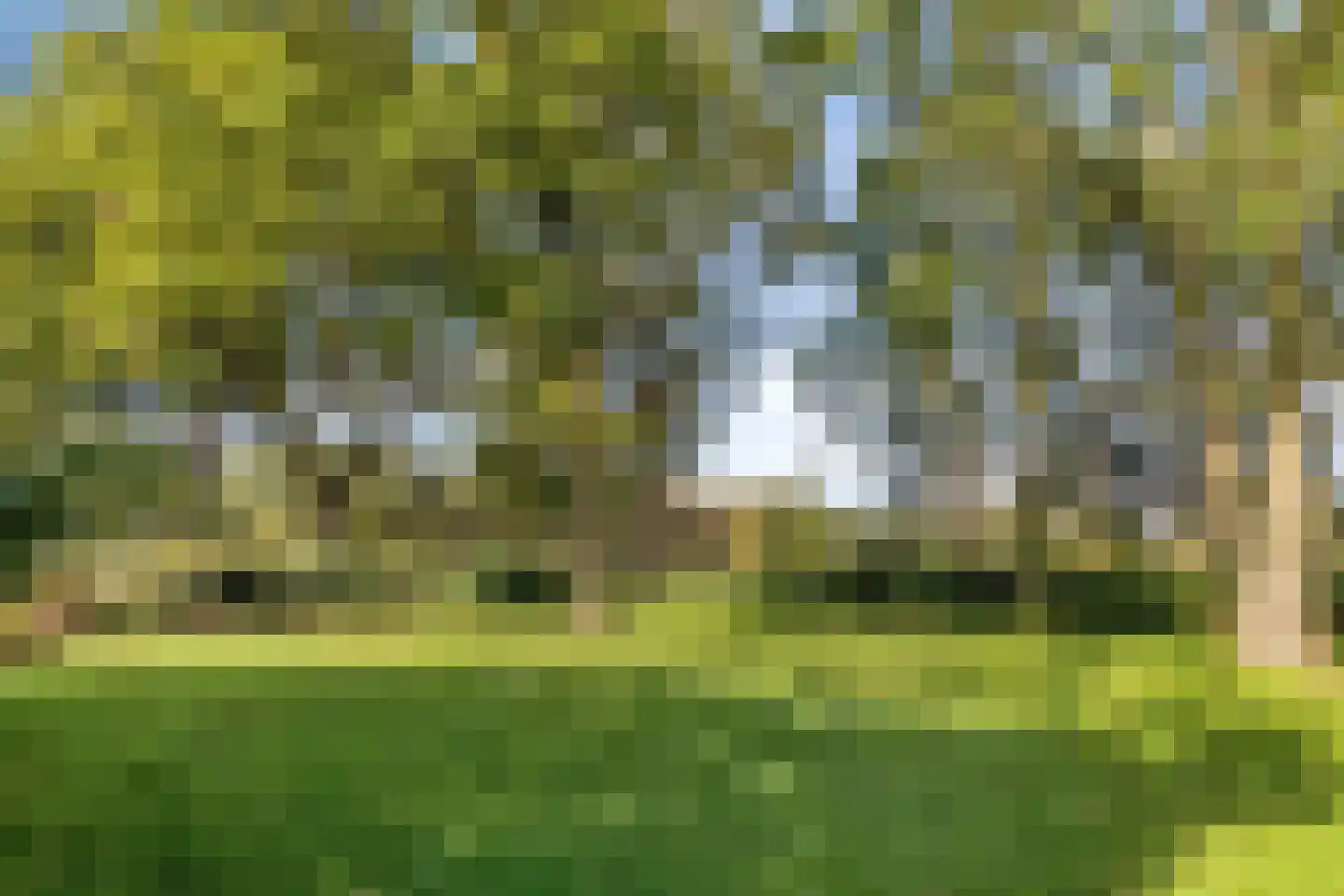 Grindweg 1 Nijeberkoop thumbnail 40