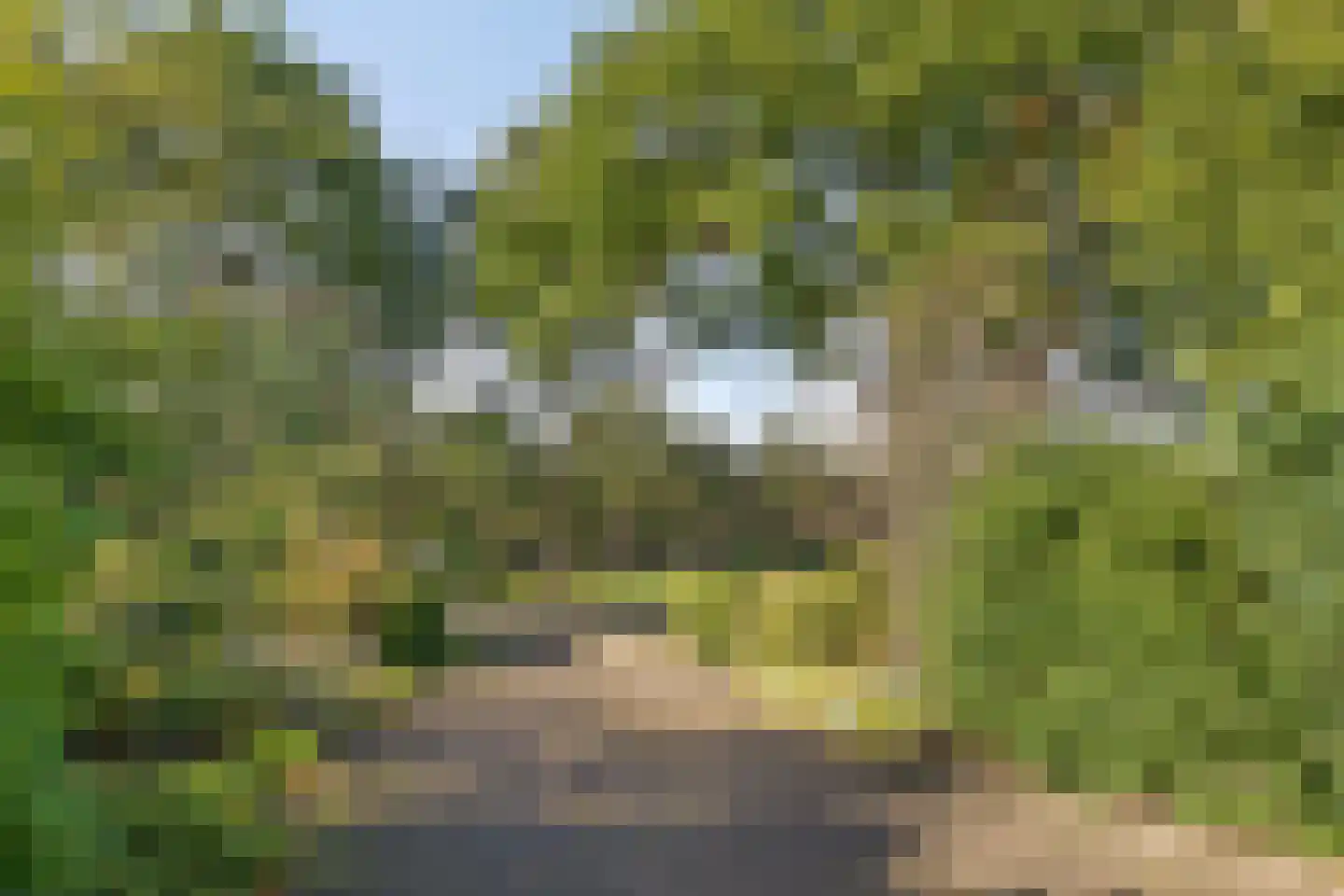 Grindweg 1 Nijeberkoop thumbnail 41