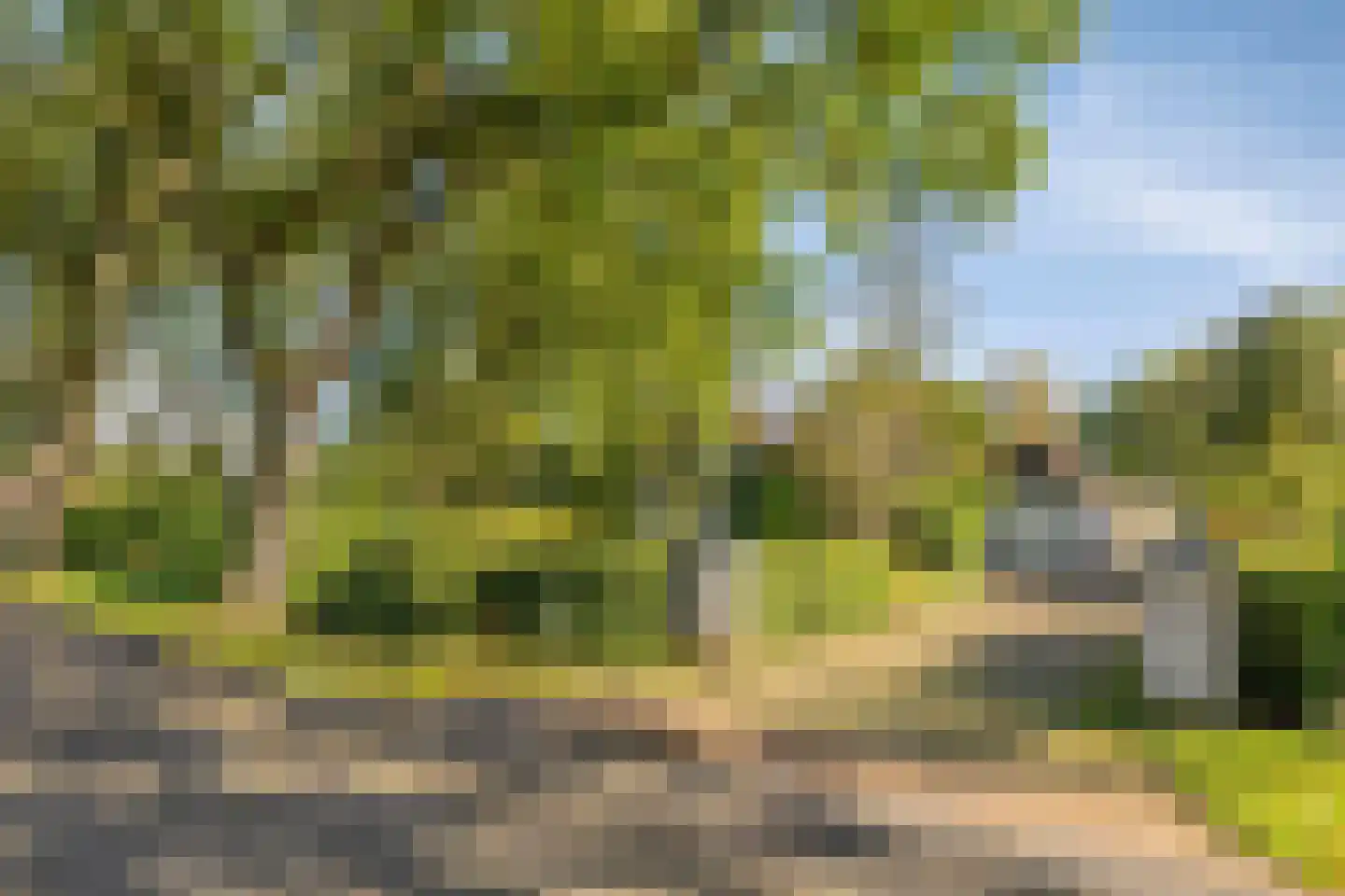 Grindweg 1 Nijeberkoop thumbnail 42