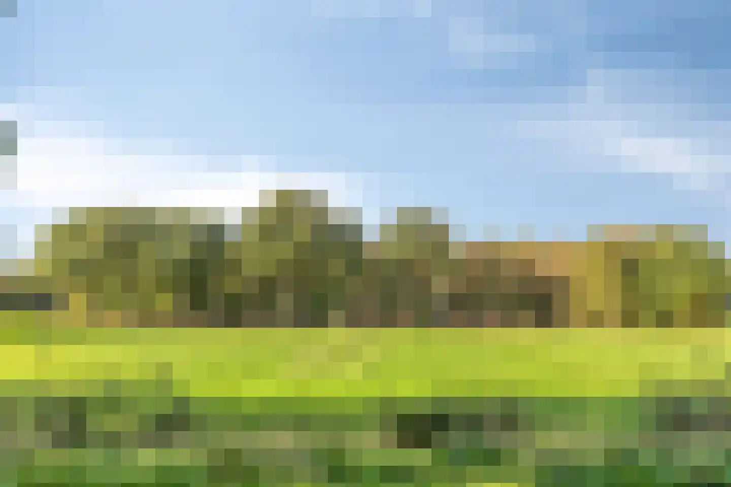 Grindweg 1 Nijeberkoop thumbnail 43