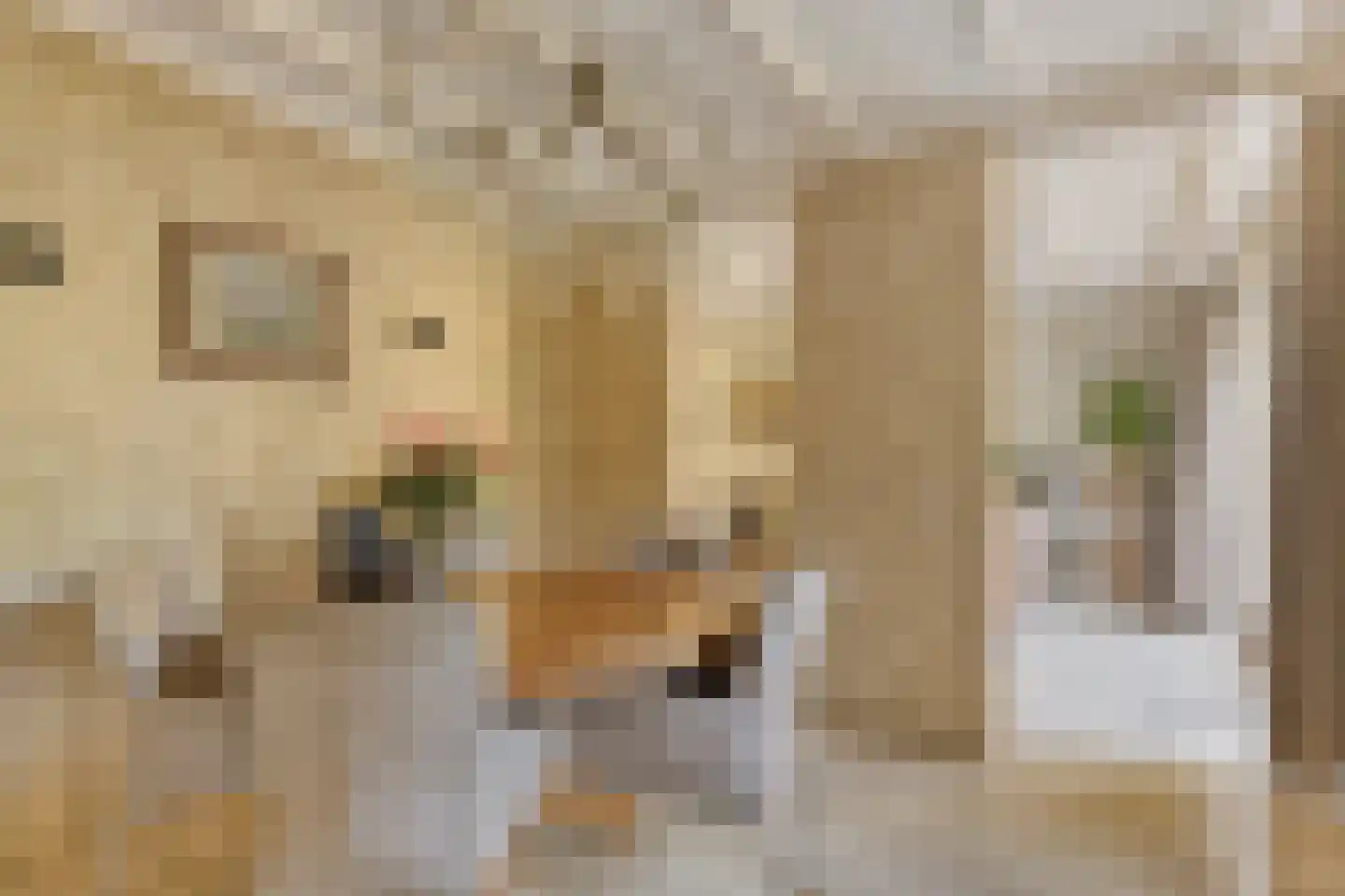 Grindweg 1 Nijeberkoop thumbnail 5