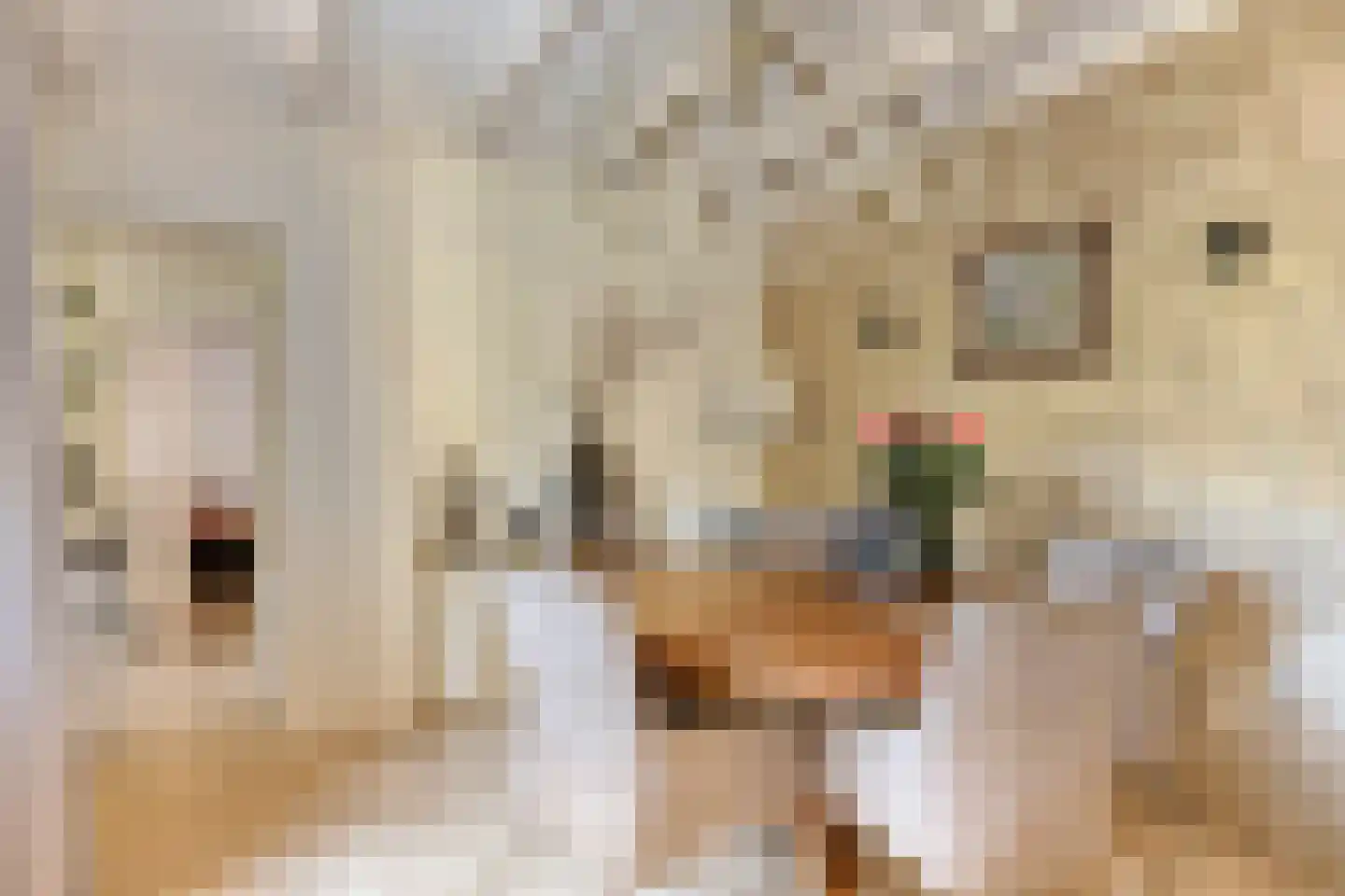 Grindweg 1 Nijeberkoop thumbnail 6