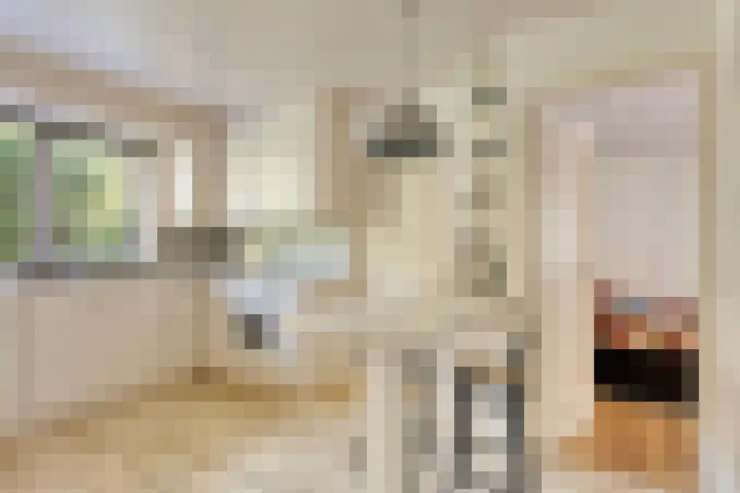 Grindweg 1 Nijeberkoop thumbnail 7