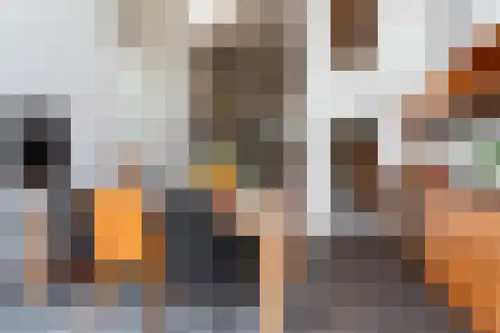 Grindweg 103 Rotterdam thumbnail 17