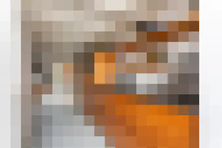 Grindweg 103 Rotterdam thumbnail 22
