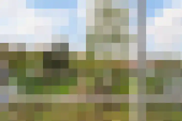 Grindweg 103 Rotterdam thumbnail 31