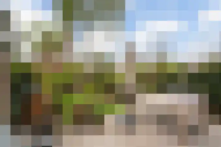 Grindweg 103 Rotterdam thumbnail 40