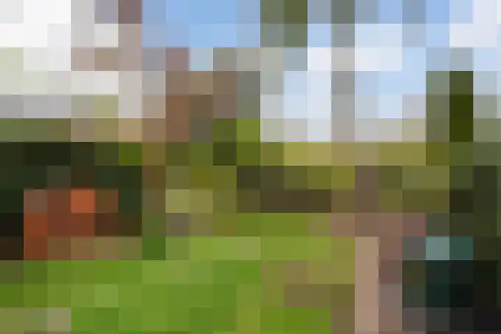 Grindweg 103 Rotterdam thumbnail 41
