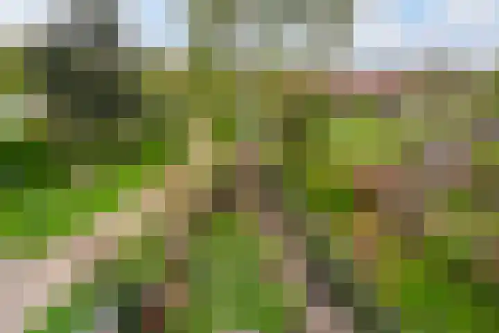 Grindweg 103 Rotterdam thumbnail 42