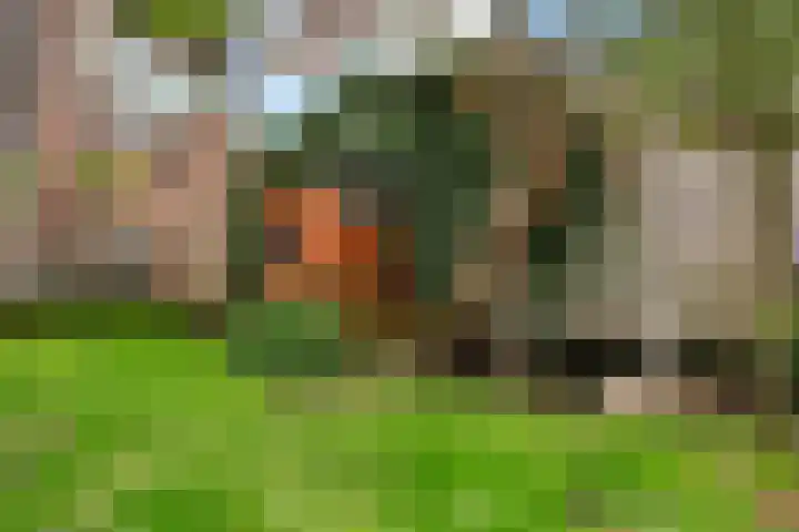 Grindweg 103 Rotterdam thumbnail 43