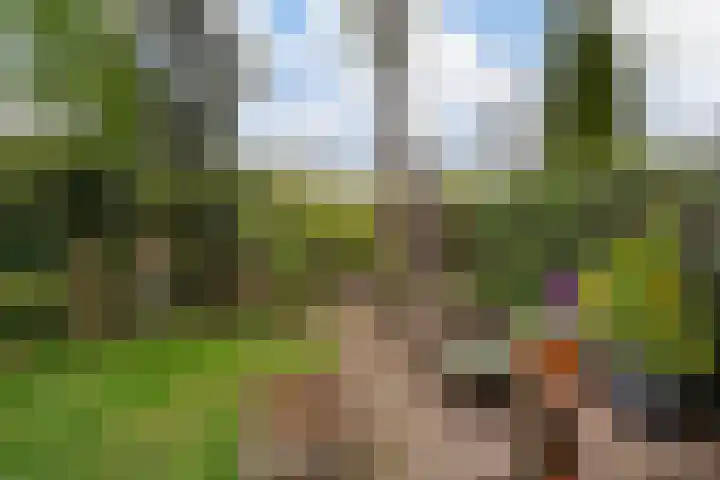 Grindweg 103 Rotterdam thumbnail 44